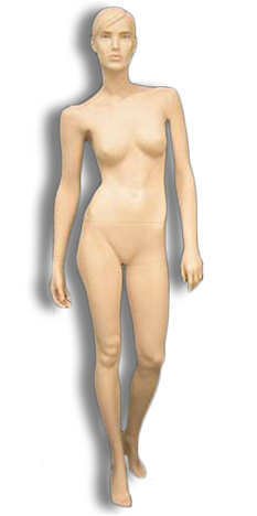 Single Image